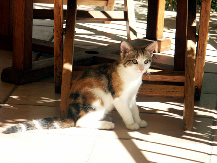 Caramel 08-04 040.jpg - DCF 1.0